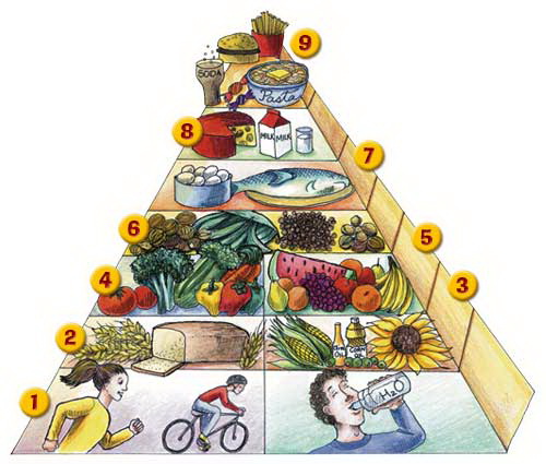 Egészséges táplálkozás piramis
